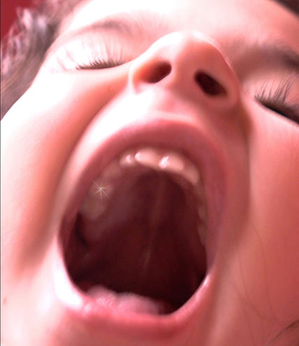 Fiera
