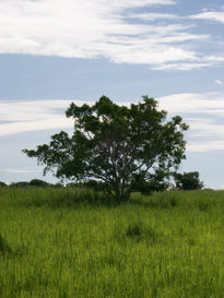 Verde y azul