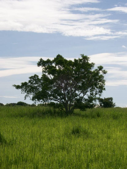 verde y azul 