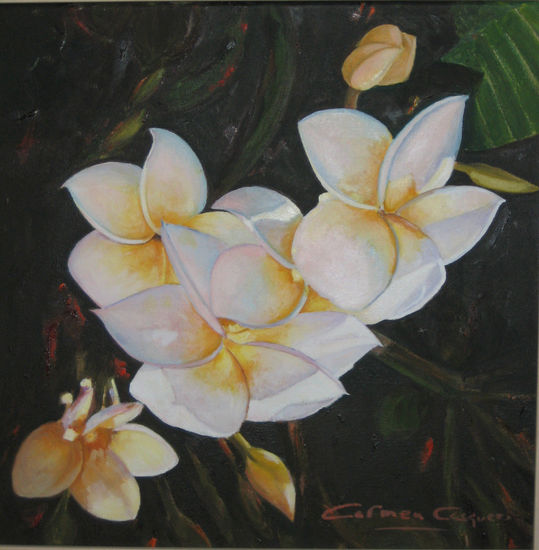 Plumaria blanca Oil Canvas Floral Painting