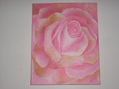 ROSA ROSA