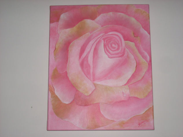 ROSA ROSA