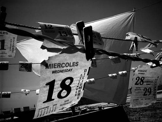 días al viento 