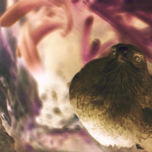 Fotos de  mi alumno favorito thumbnail 2
