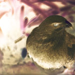 Fotos de  mi alumno favorito thumbnail 1