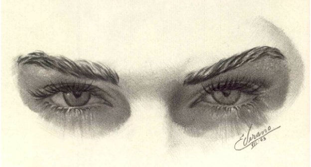 Ojos Brooke Shields Graphite