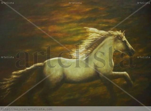 GALOPANDO CON LUZ DE LUNA