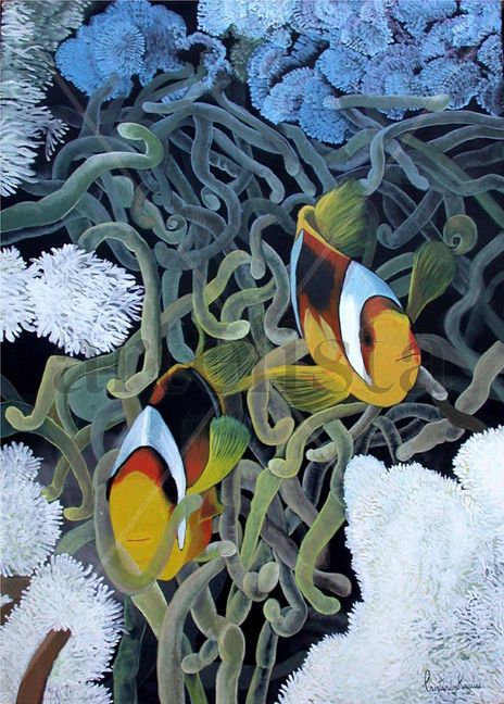 Peixes palhaços