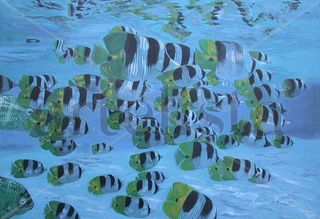 Los peces azules