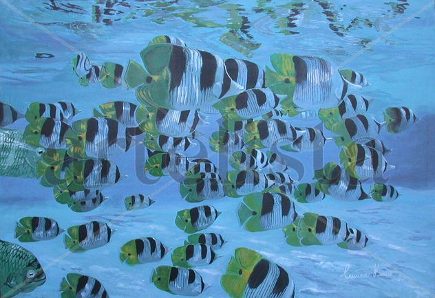 Los peces azules