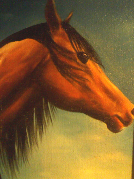 Cabeza de caballo