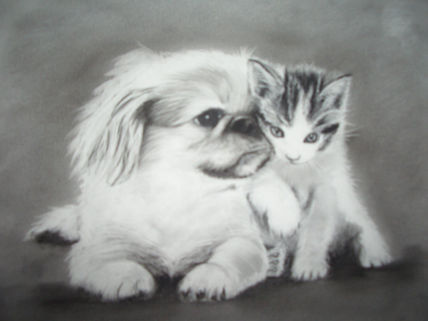 El gato y el perro