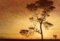 atardecer