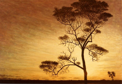 Atardecer