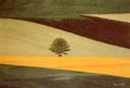 paisaje