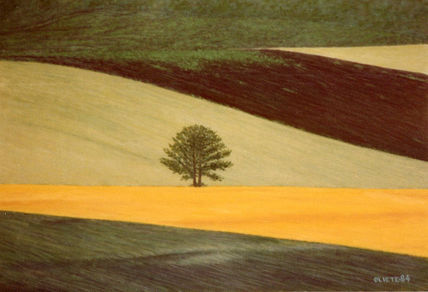 Paisaje