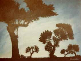 Olivos