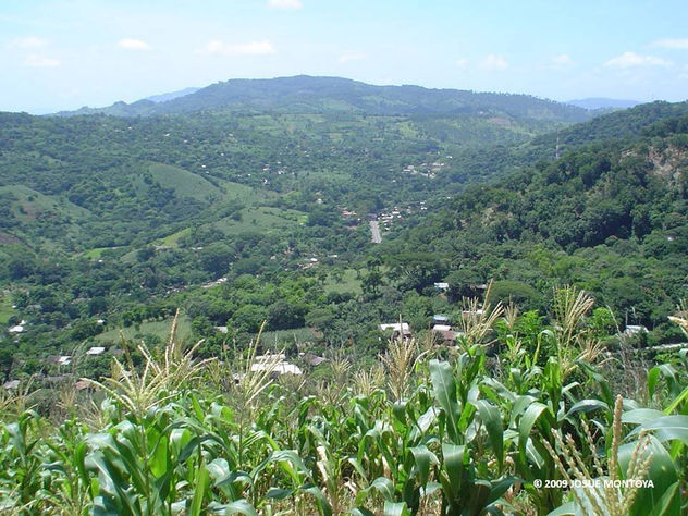 HERMOSA VISTA 04