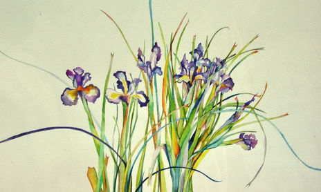 Flores