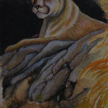 Animales thumbnail 2