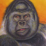 Animales thumbnail 1