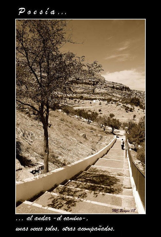 Poesía al andar el camino, unas veces solos, otras acompañados