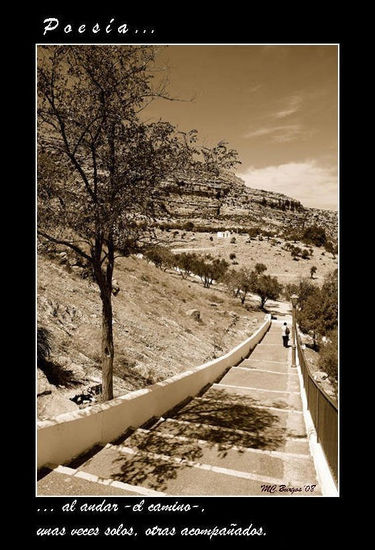 Poesía al andar el camino, unas veces solos, otras acompañados Naturaleza Blanco y Negro (Digital)