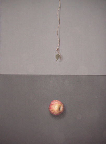 Manzana cayendo Mixed media Canvas Others