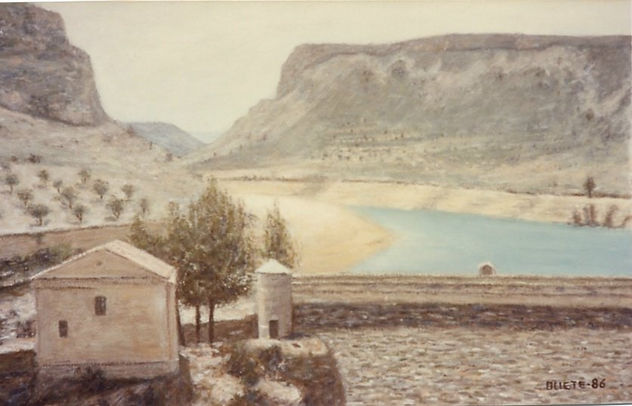 pantano mezalocha (zaragoza)