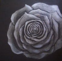 Rose in silber