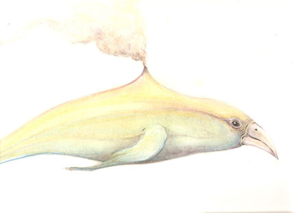 Avemarina