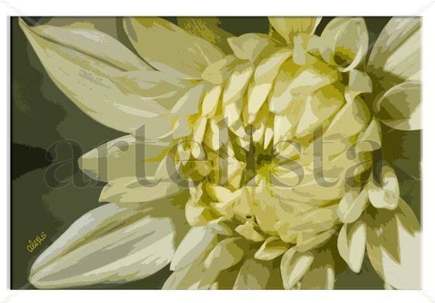 DALIA