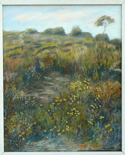 Doñana