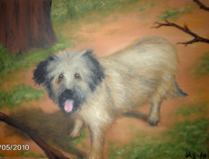 Perrita