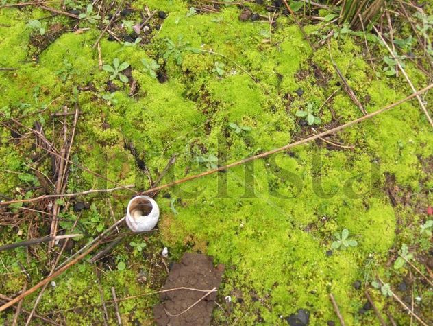La tierra llena de vida en Los Toruños