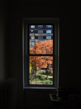 Despertar a la primavera