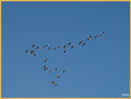 Dibujando el Cielo