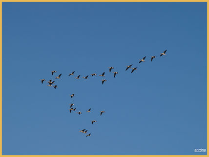 Dibujando el Cielo