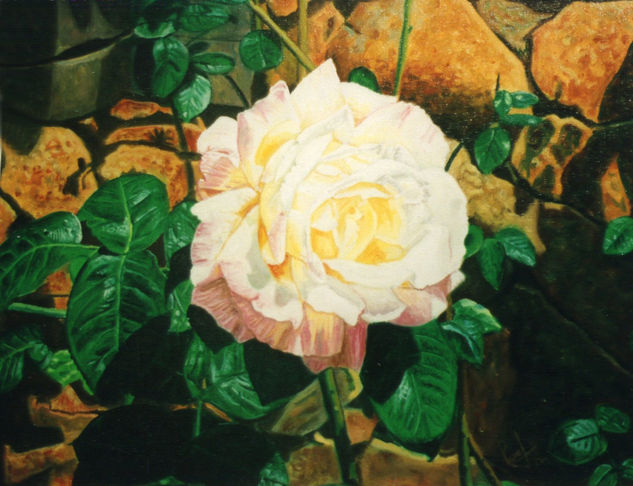 Rosa de Alejandría Oil Canvas Floral Painting