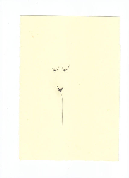 Desnudo 9