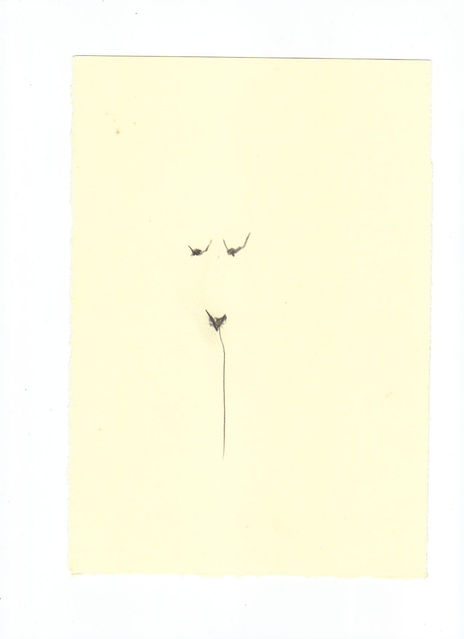 Desnudo 9