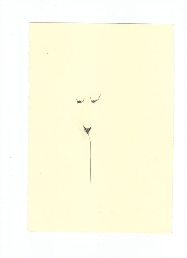 Desnudo 9