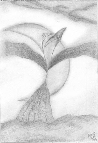 Fenix I Charcoal