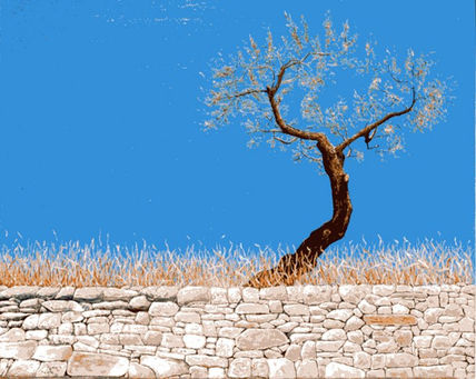Olivo sobre el muro