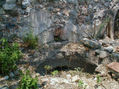 Ruina