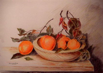 Caquis