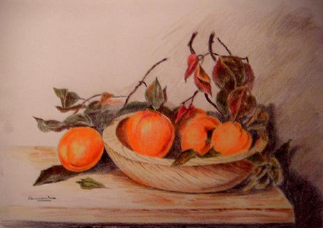 Caquis