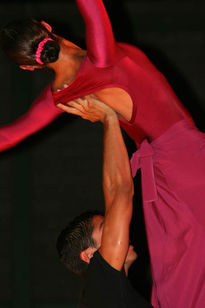 Ballet Bafochi (1)