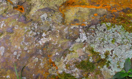 texturas