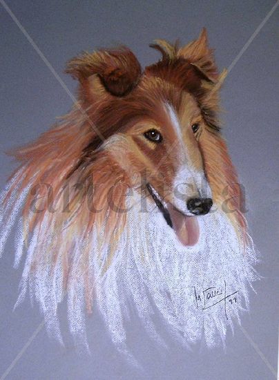 Collie Pastel Paper Landscaping